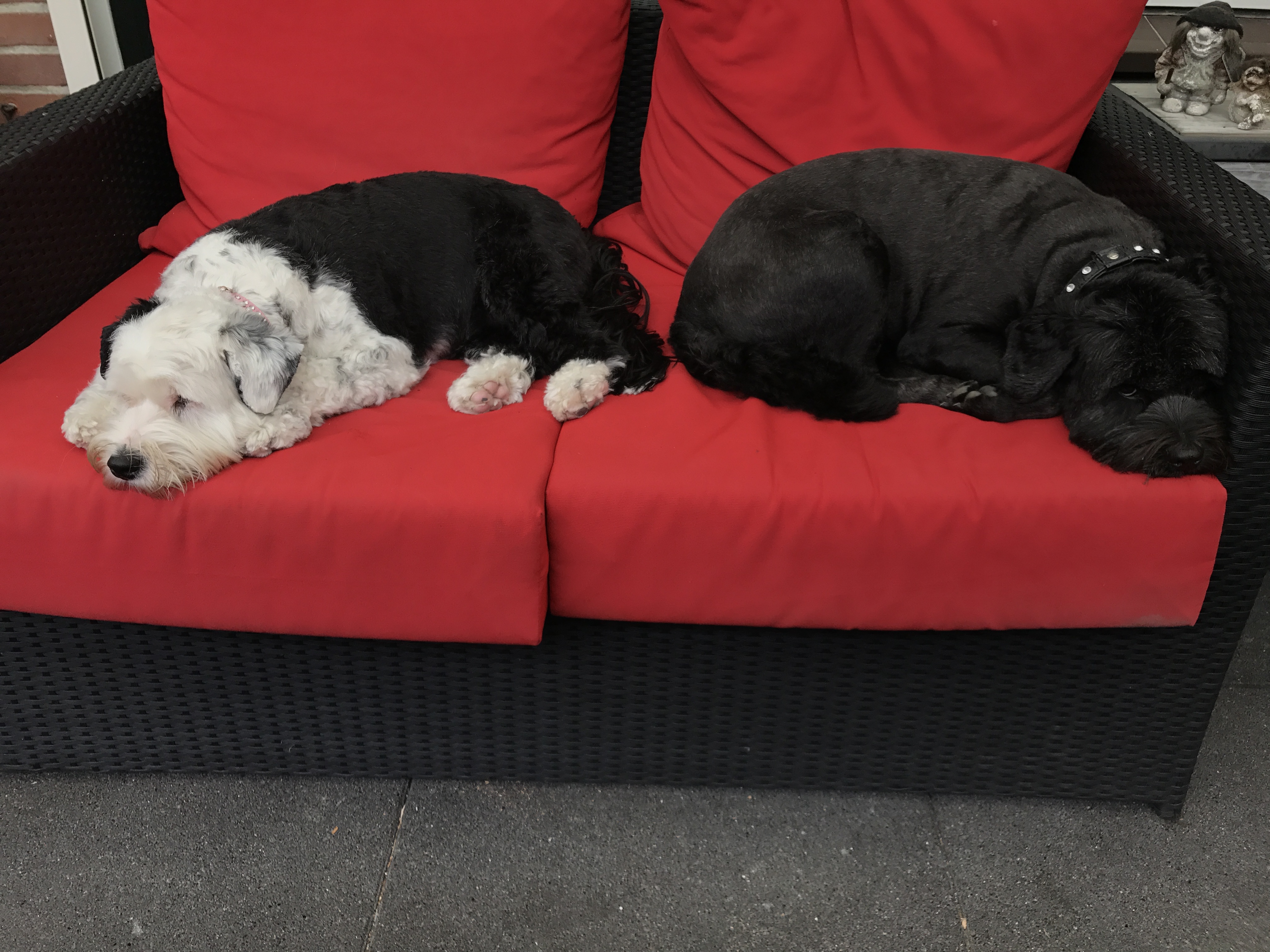 <i>The Way</i> <i>We Go.</i>